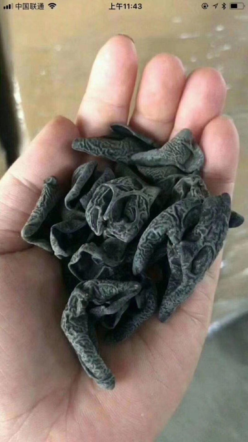 东北小片黑木耳，地摊热卖火爆畅销产品，地摊热卖资源