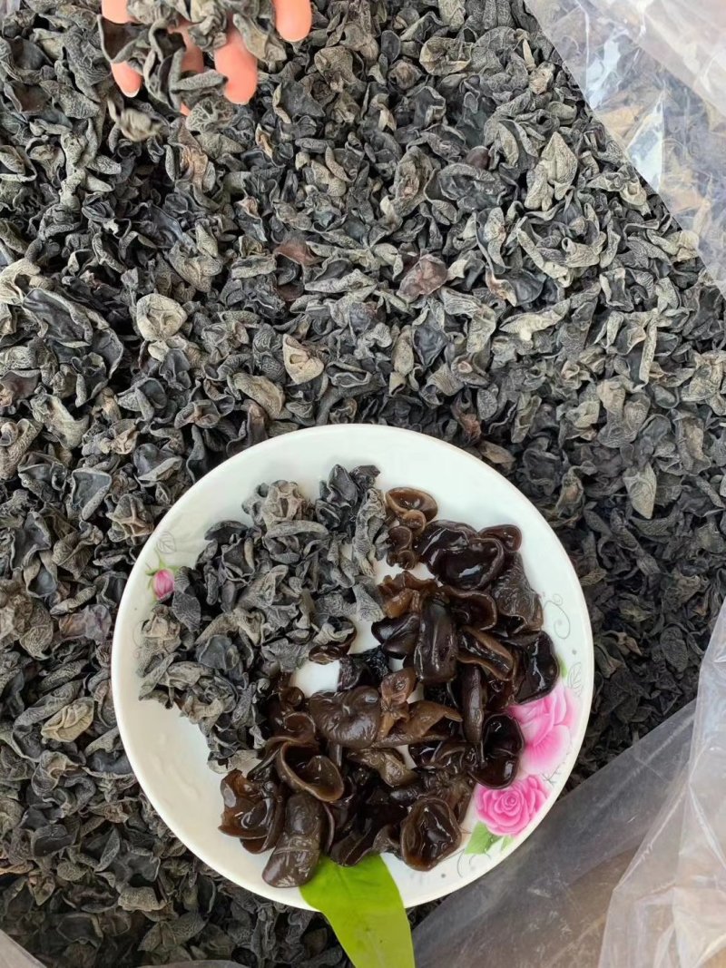东北小片黑木耳，地摊热卖火爆畅销产品，地摊热卖资源