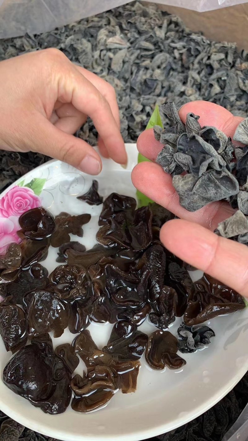 东北小片黑木耳，地摊热卖火爆畅销产品，地摊热卖资源