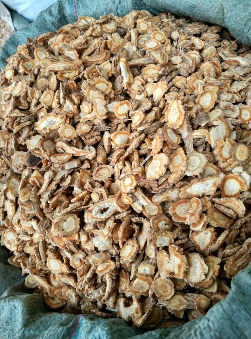 防风种子关防风籽包发芽率提供技术回收产品