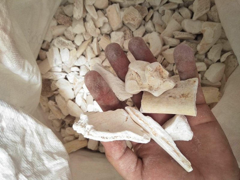 正品龙骨，水洗龙骨，包化验批发零售量大从优