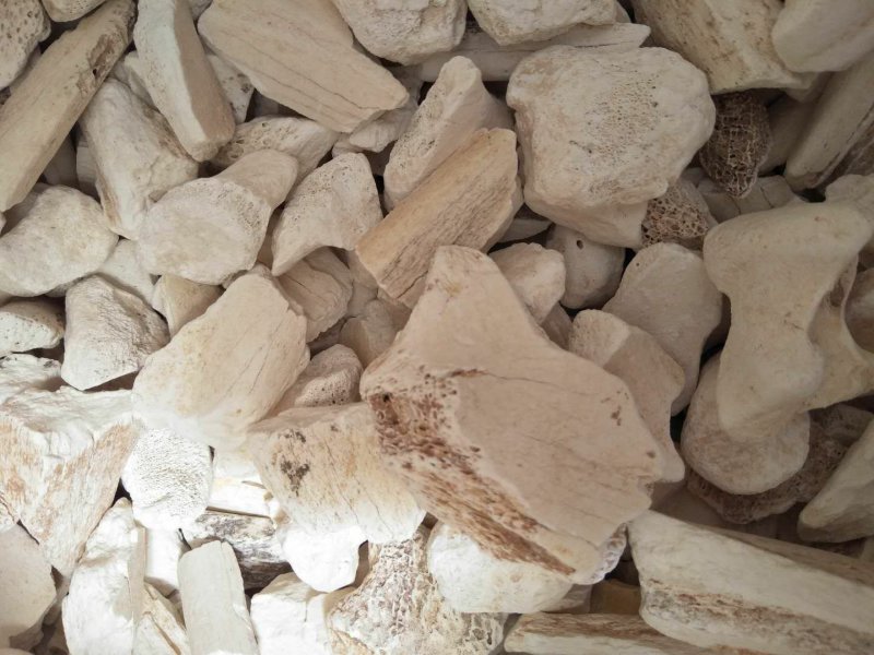 正品龙骨，水洗龙骨，包化验批发零售量大从优