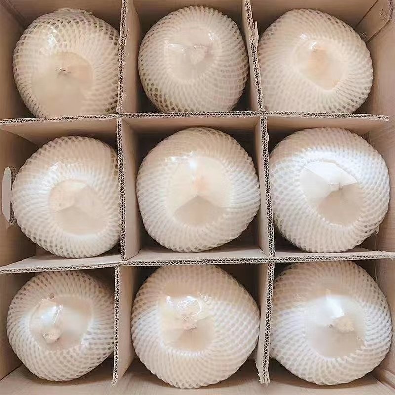 海南精品椰青！这是来自海南的祝福！