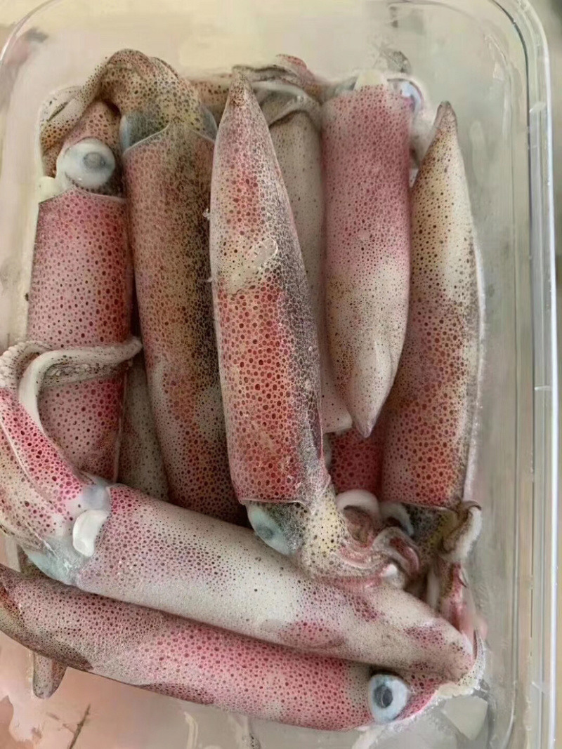 南澳网红海鲜照灯尼仔