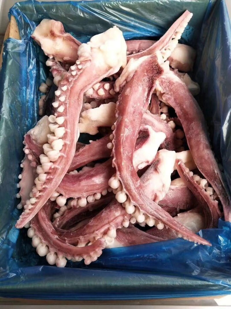 鱿鱼须
