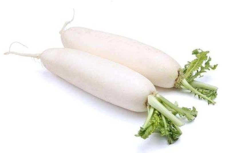 白萝卜