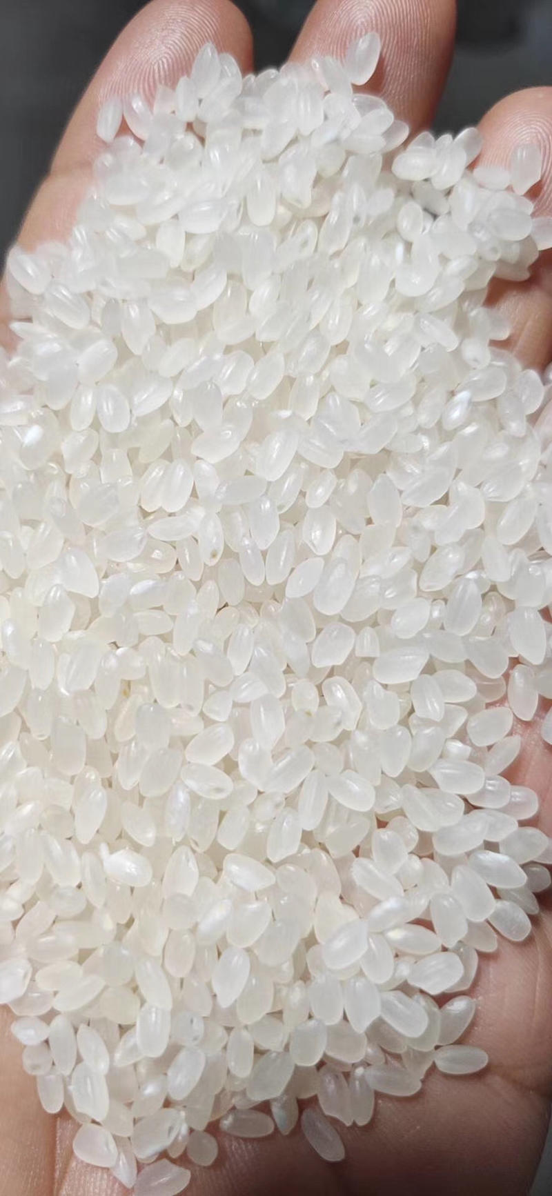 厂家直销新米价格美丽圆粒长粒香稻花香都有
