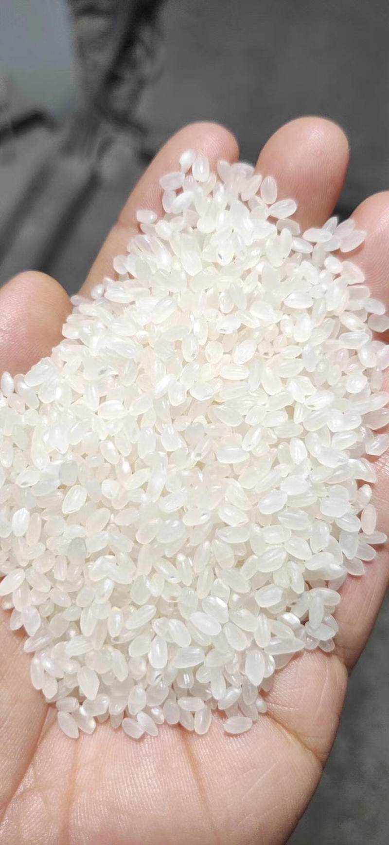 厂家直销新米价格美丽圆粒长粒香稻花香都有