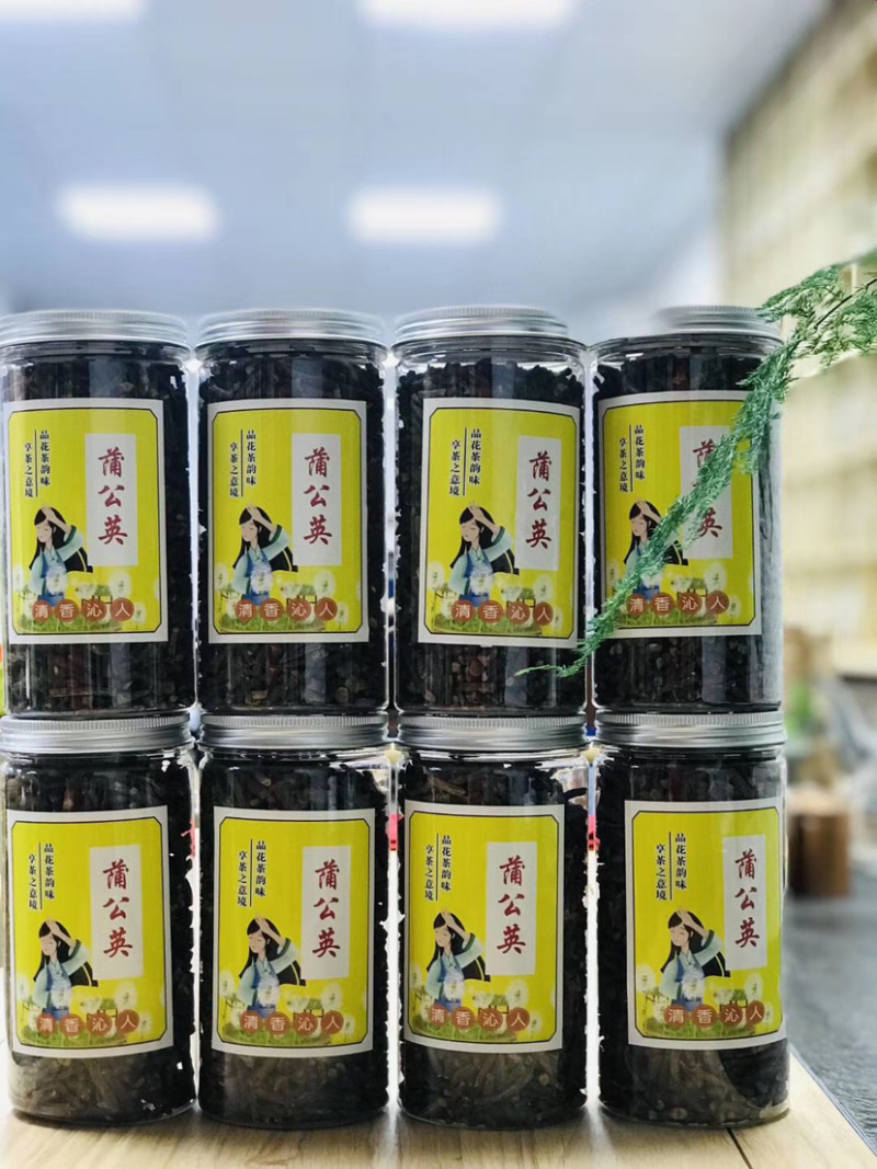 蒲公英，500克罐装，原产地直消，汤色清透，清香回味，