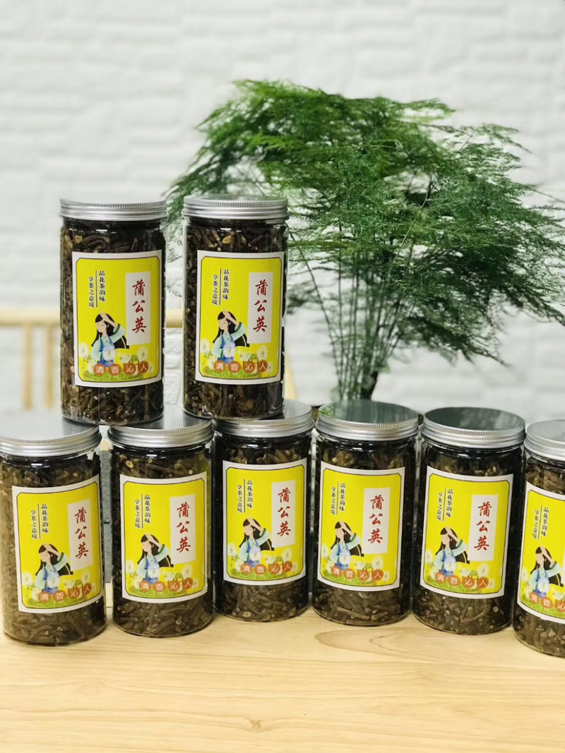 蒲公英，500克罐装，原产地直消，汤色清透，清香回味，