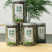 莓茶又叫白茶，长得像龙须，一罐60克，包装随机