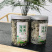 莓茶又叫白茶，长得像龙须，一罐60克，包装随机