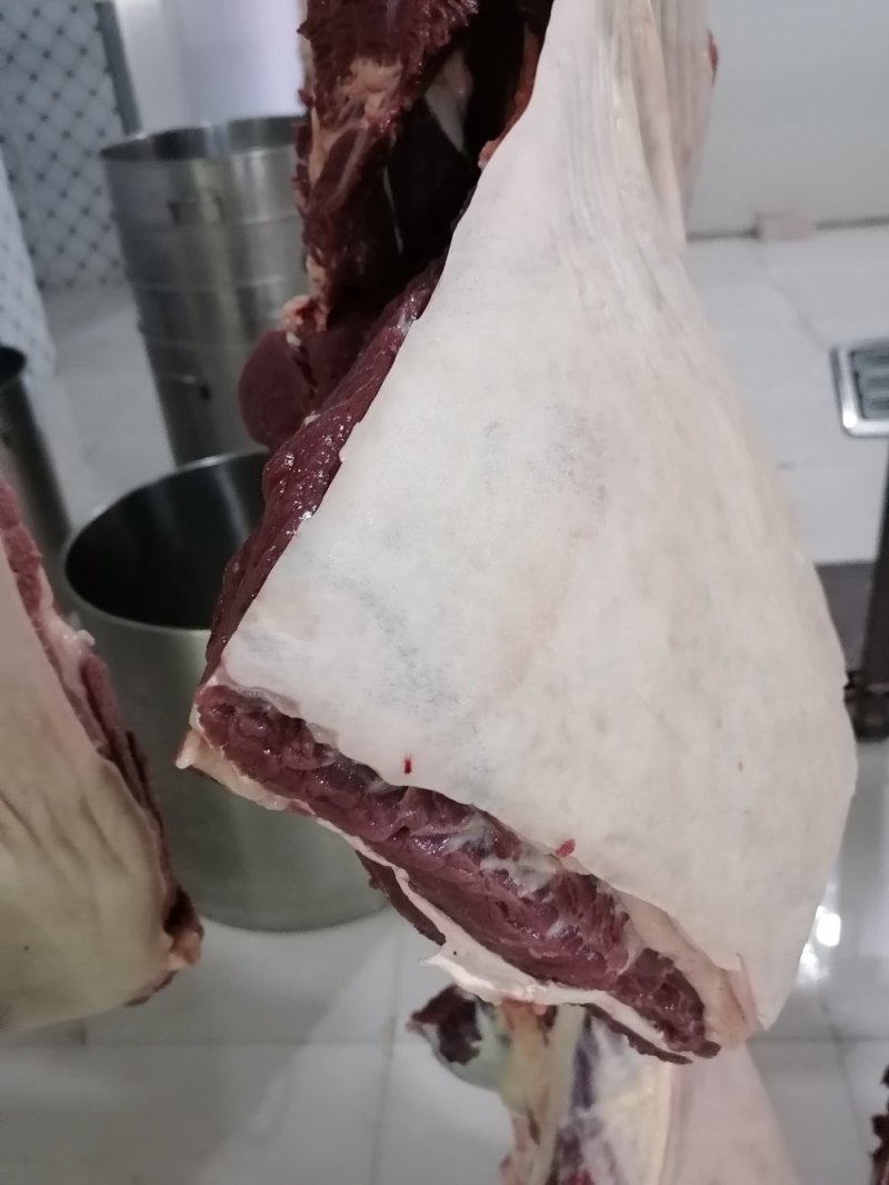 现杀带皮鲜马肉纯干排酸真空包装