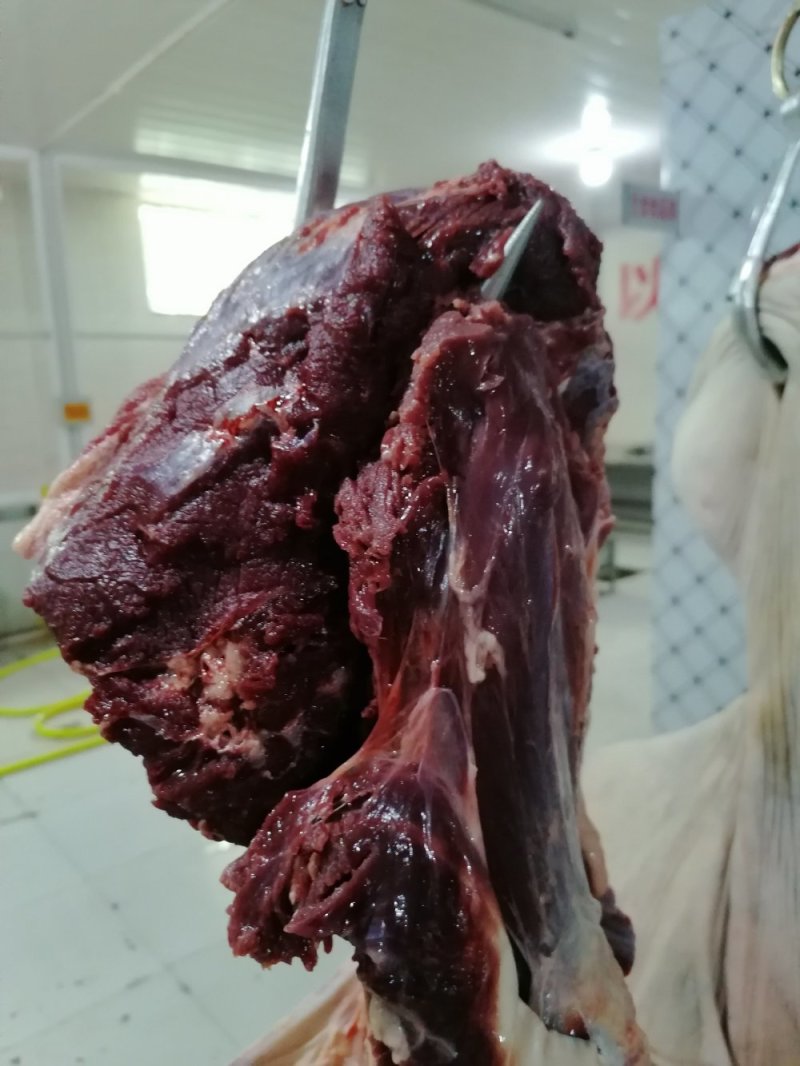 现杀带皮鲜马肉纯干排酸真空包装