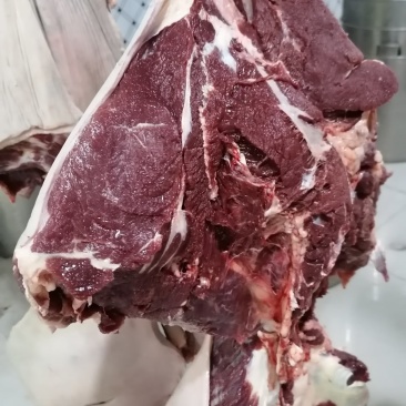 现杀带皮鲜马肉纯干排酸真空包装