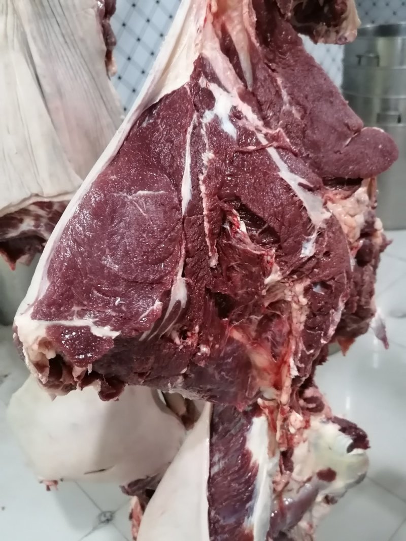 现杀带皮鲜马肉纯干排酸真空包装