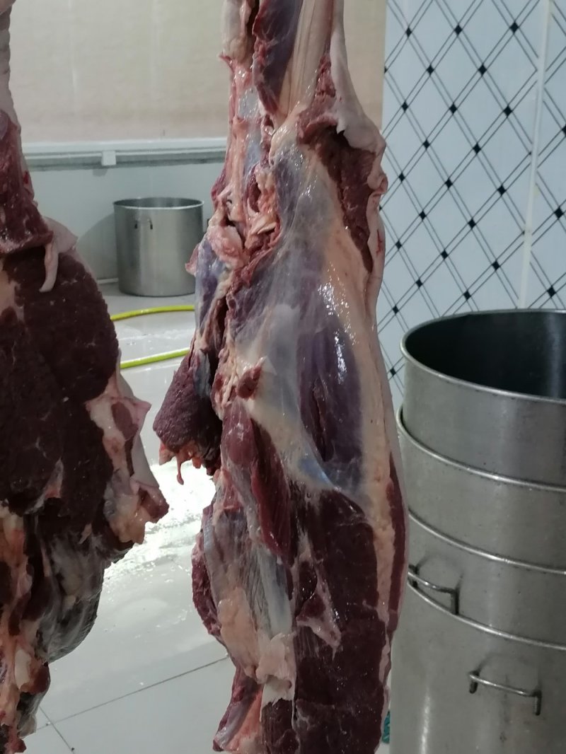 现杀带皮鲜马肉纯干排酸真空包装
