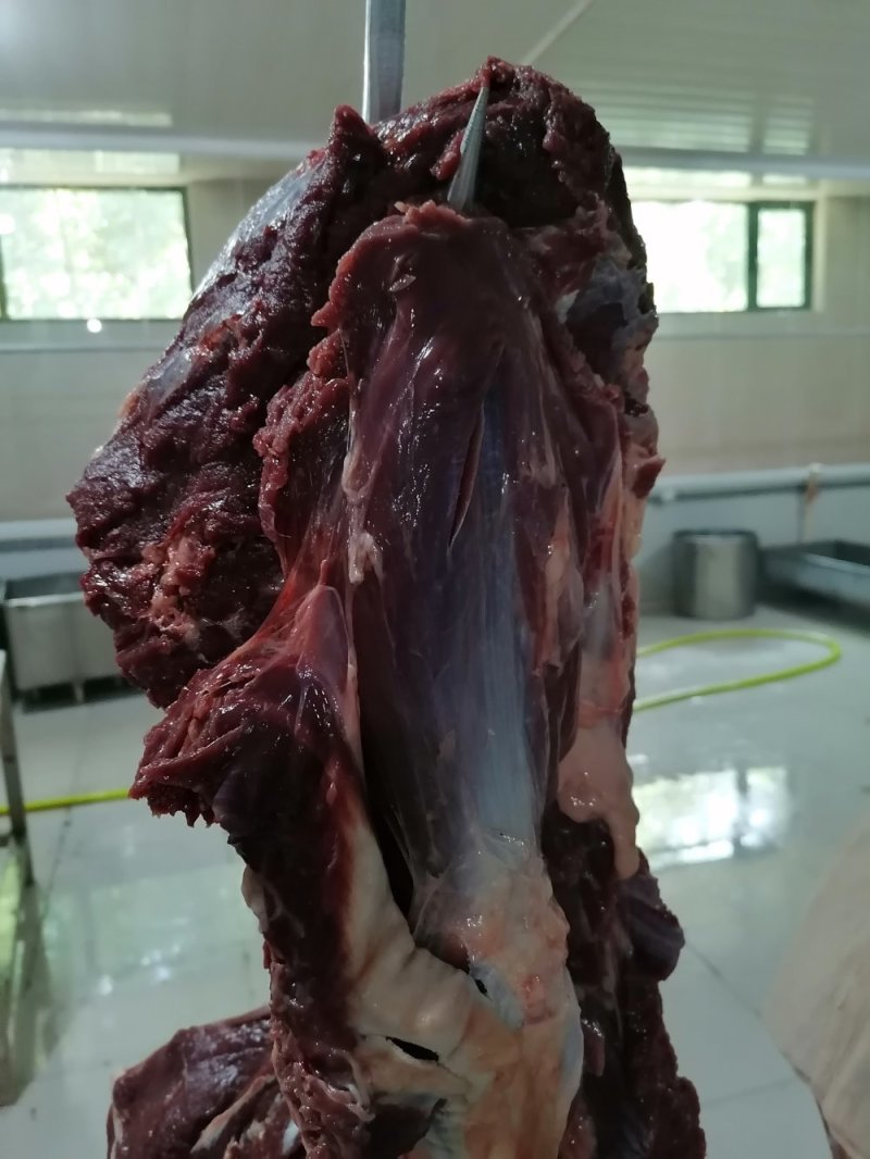 现杀带皮鲜马肉纯干排酸真空包装