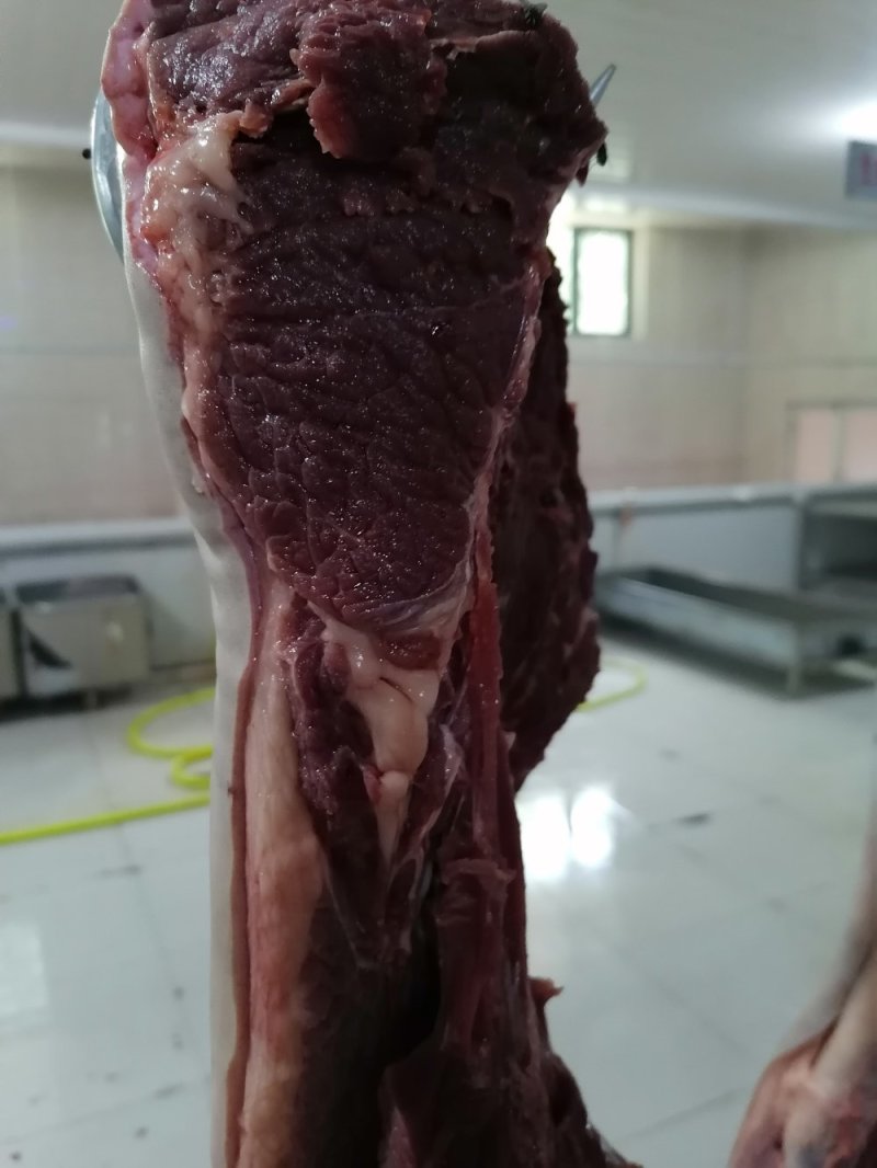 现杀带皮鲜马肉纯干排酸真空包装