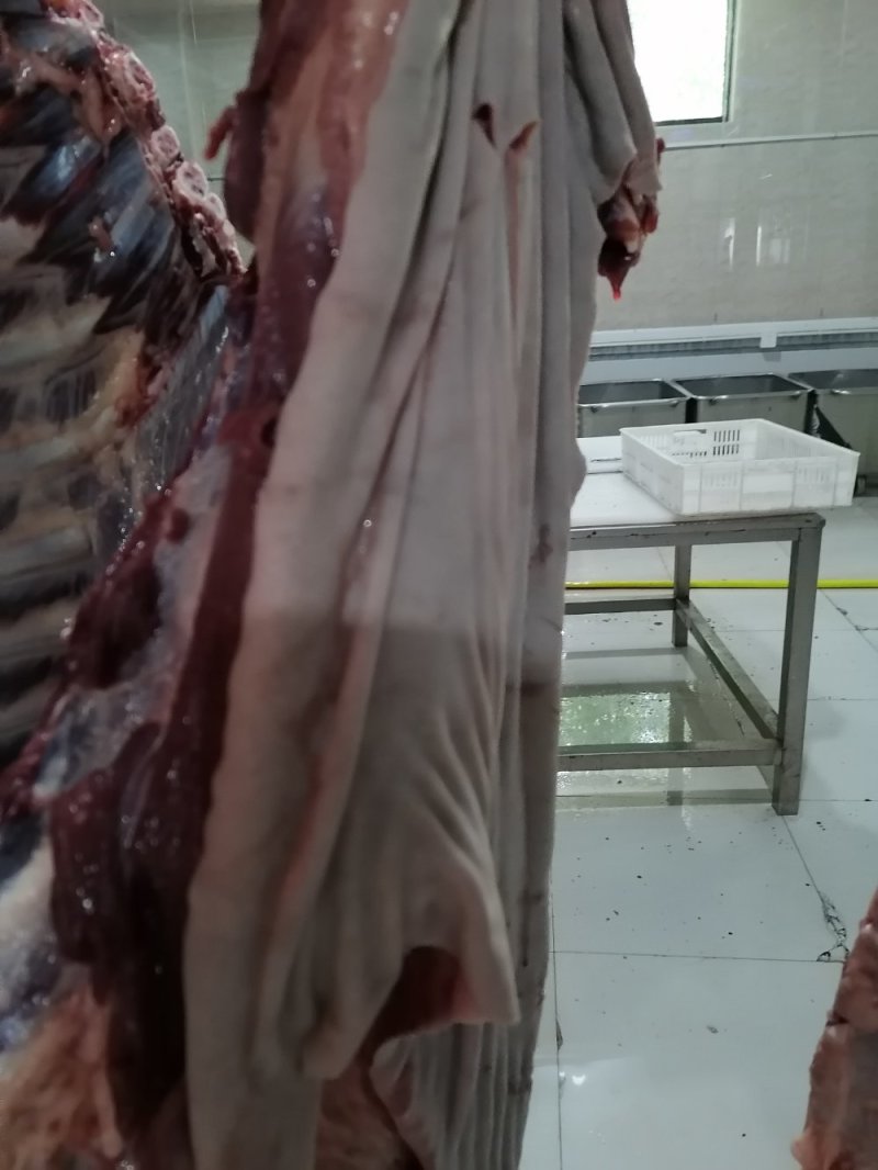 现杀带皮鲜马肉纯干排酸真空包装