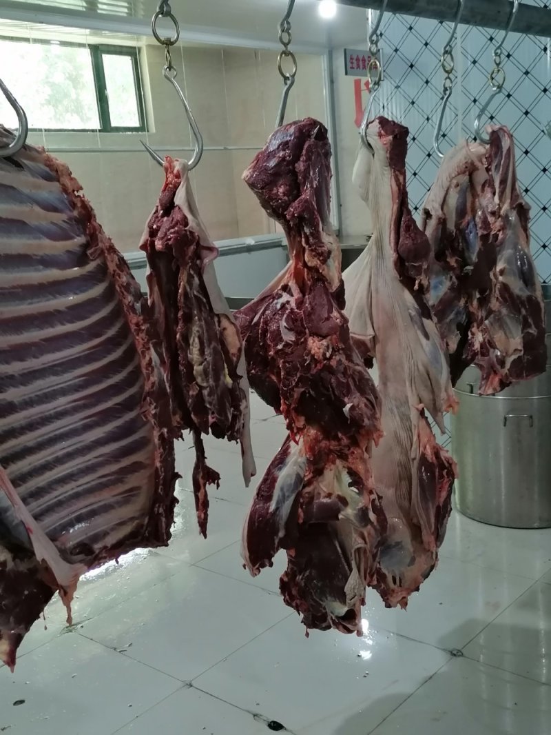 现杀带皮鲜马肉纯干排酸真空包装