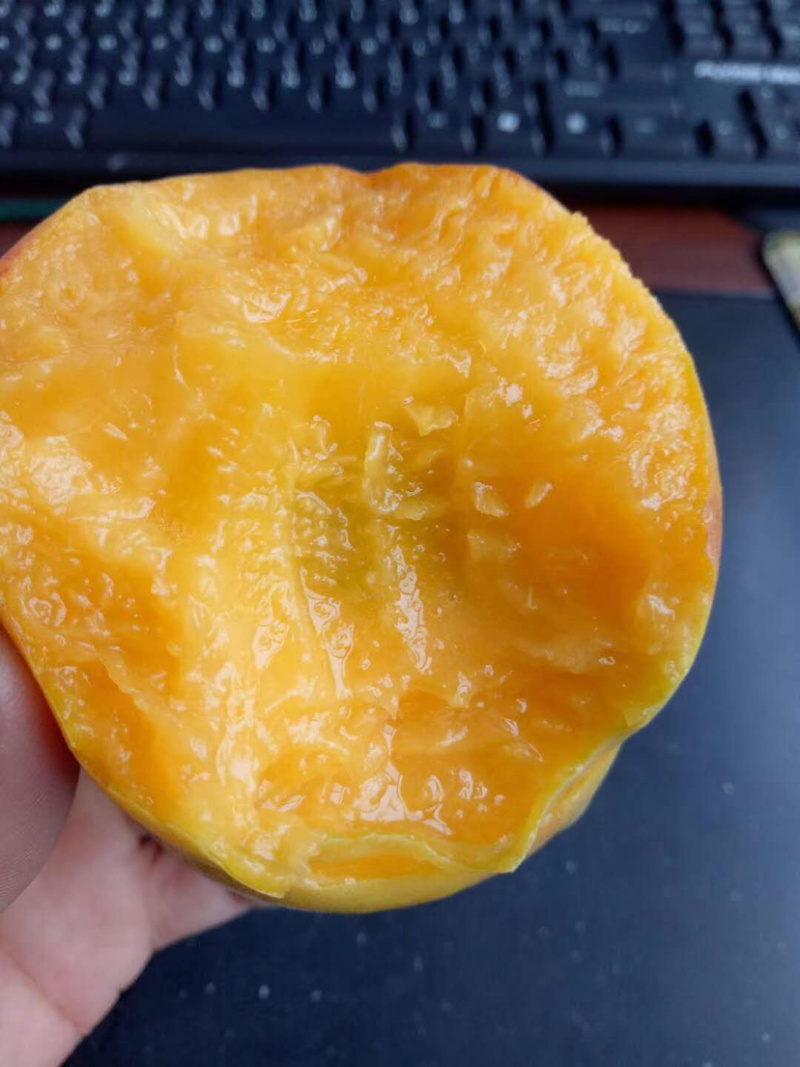 黄桃白桃毛桃