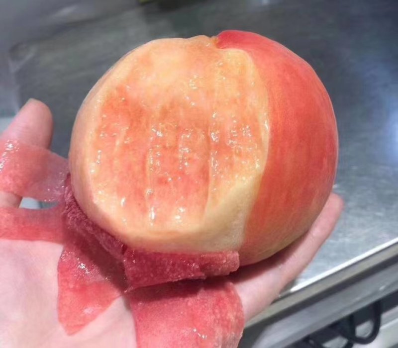 陕西水蜜桃一件代发对接平台