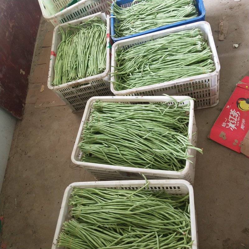 豆角