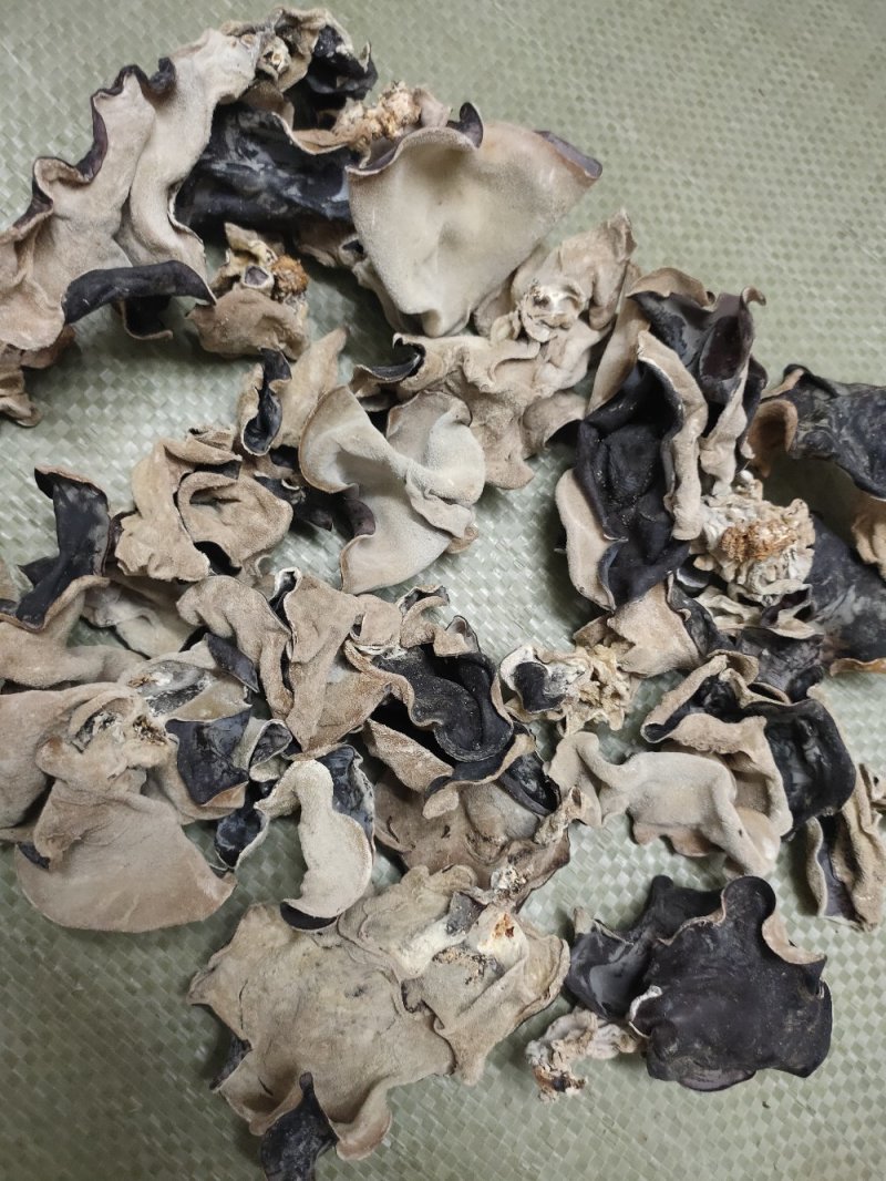 白背木耳毛木耳干货地耳脆木耳