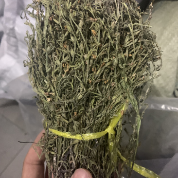 独脚金正品一公斤起批无硫磺熏蒸