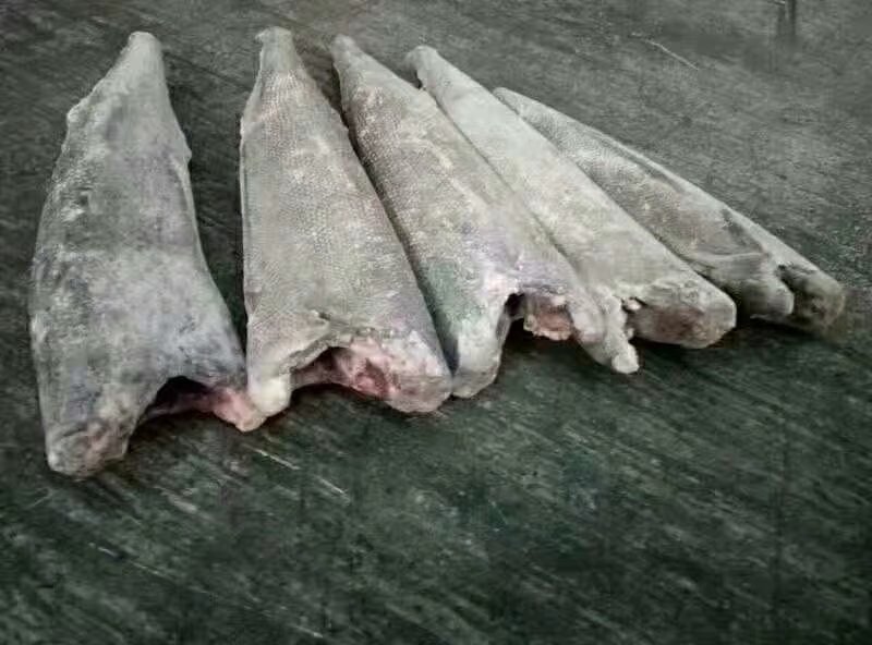油甘鱼
