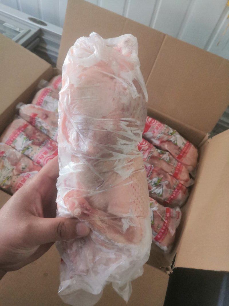 白条鸭