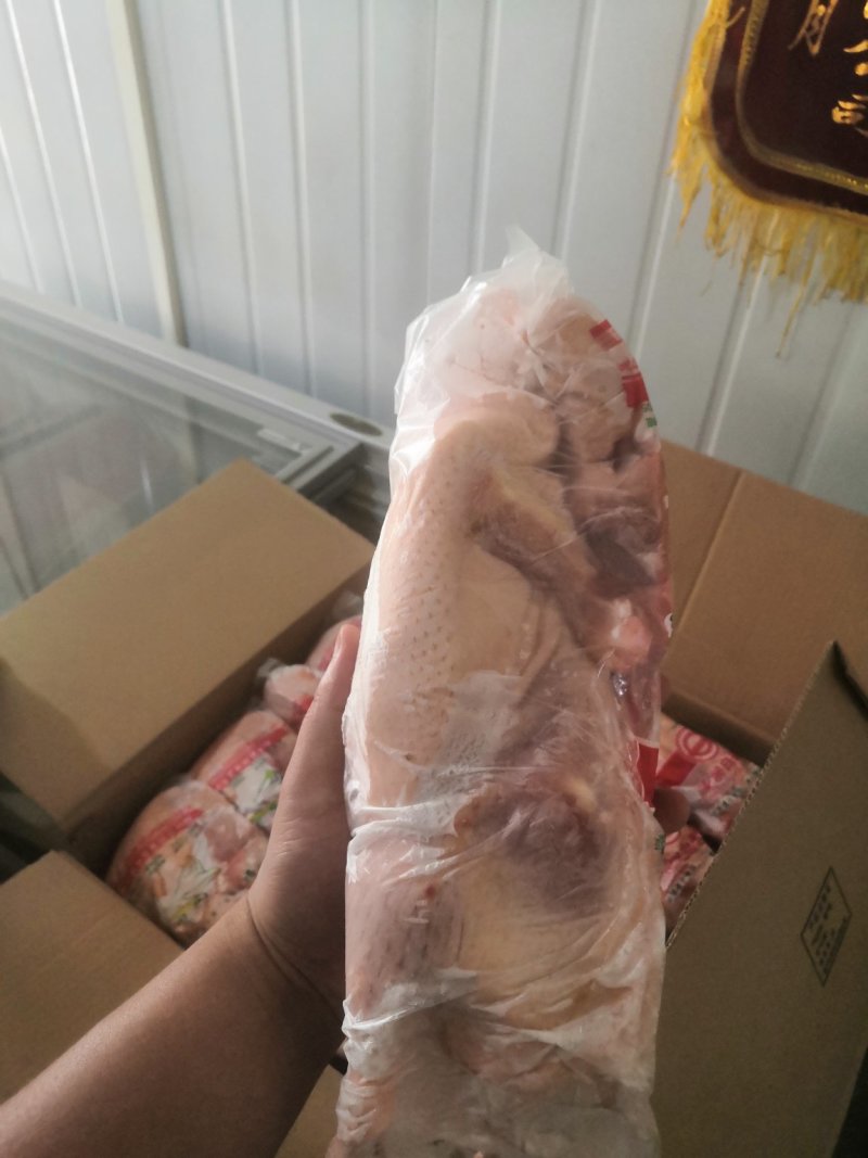 白条鸭