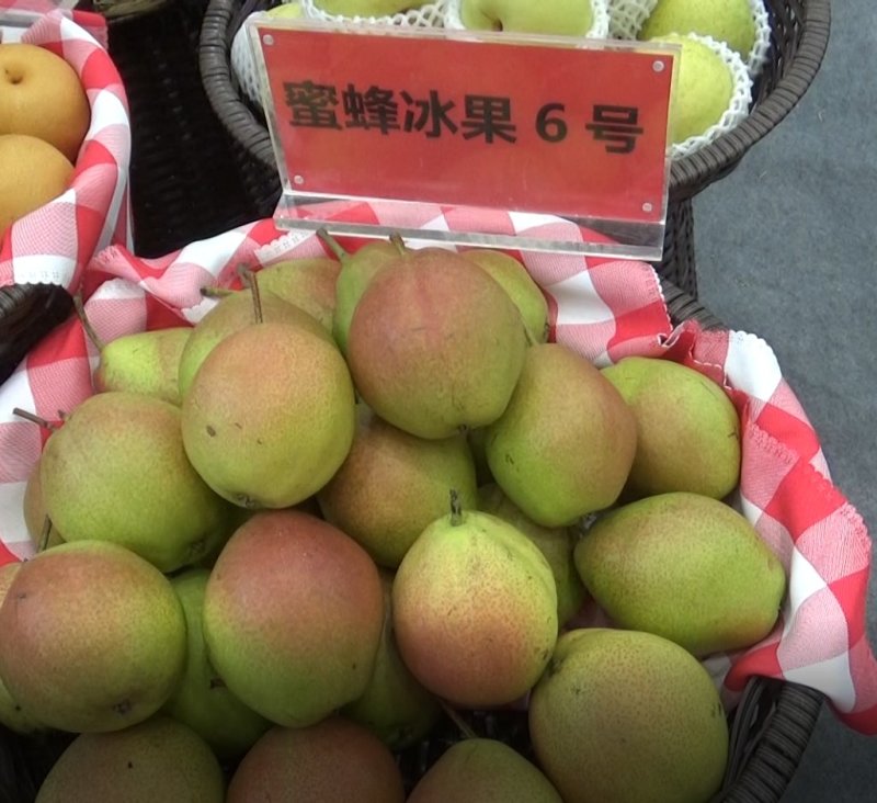 高档梨预订