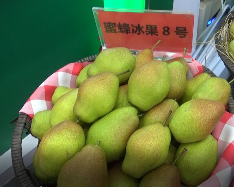 高档梨预订