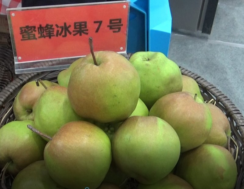 高档梨预订