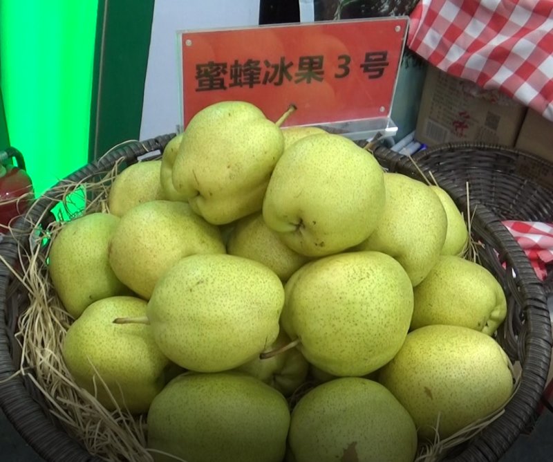 高档梨预订