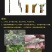 果树嫁接膜自粘专用膜无需打结接树农用薄膜嫁接绑带打包缠