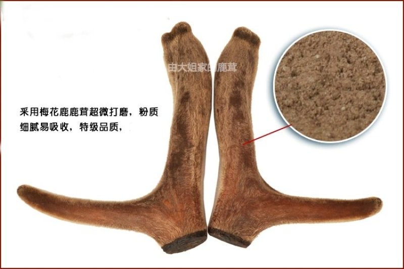 鹿茸粉纯正梅花鹿鹿茸粉50克整只干鹿茸磨粉非鹿茸片