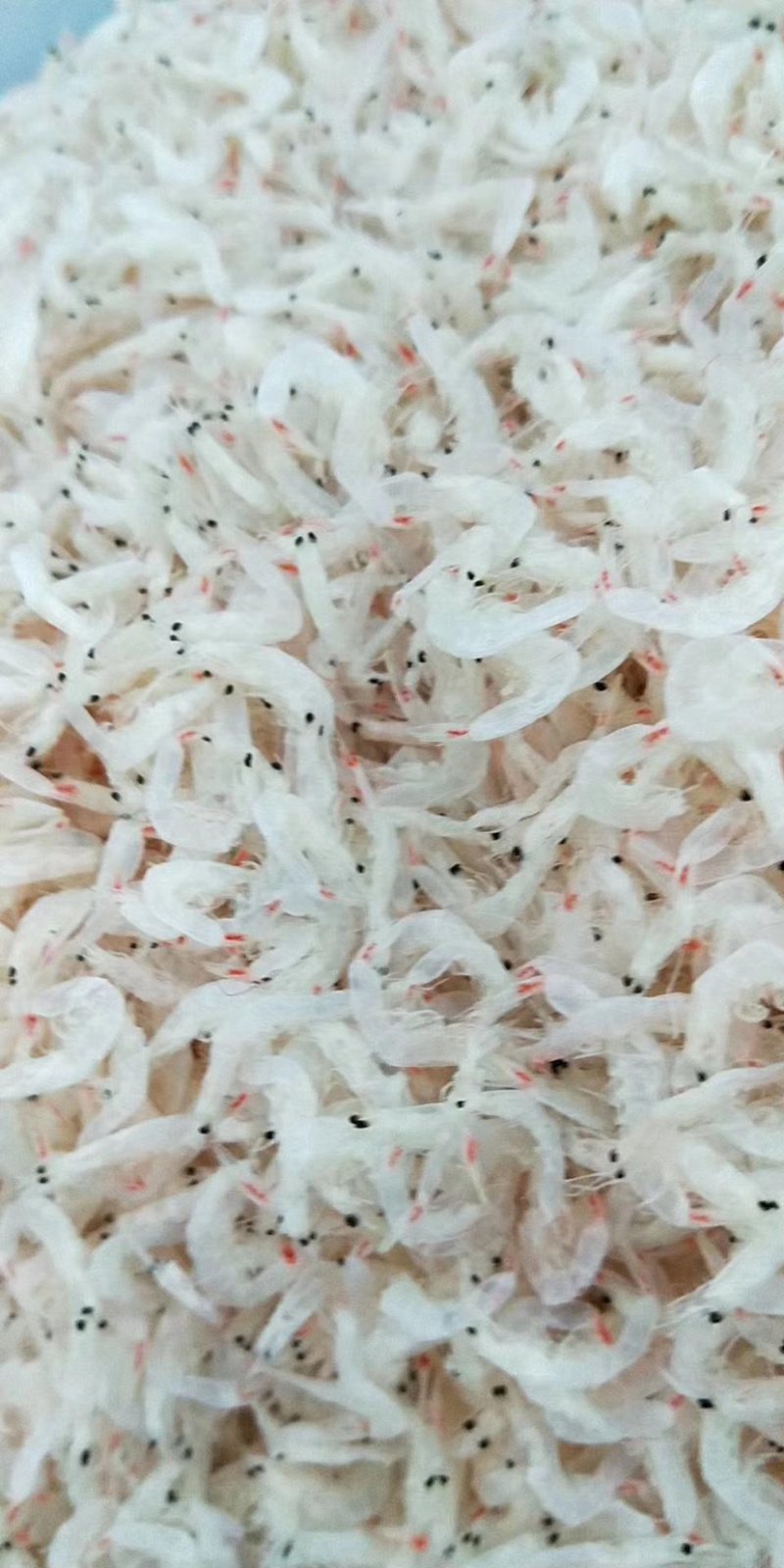 虾皮无盐虾皮流水线三级，大量有货sc手续齐全贴牌