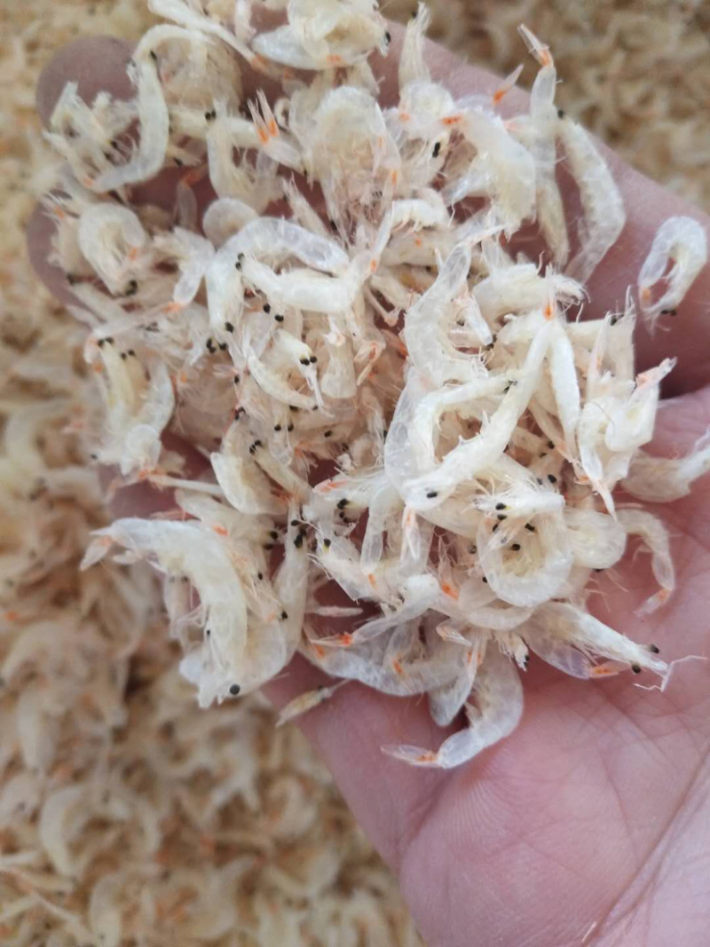 虾皮无盐虾皮流水线三级，大量有货sc手续齐全贴牌