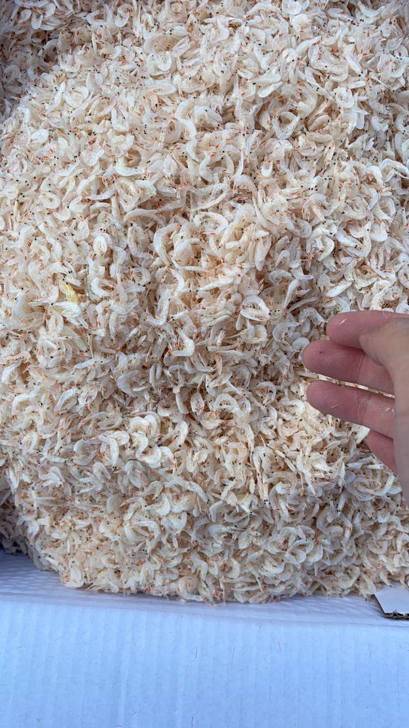 虾皮无盐虾皮流水线三级，大量有货sc手续齐全贴牌