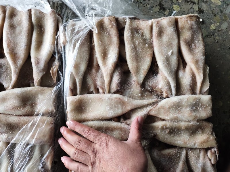 鱿鱼筒原料北朝真鱿原料筒