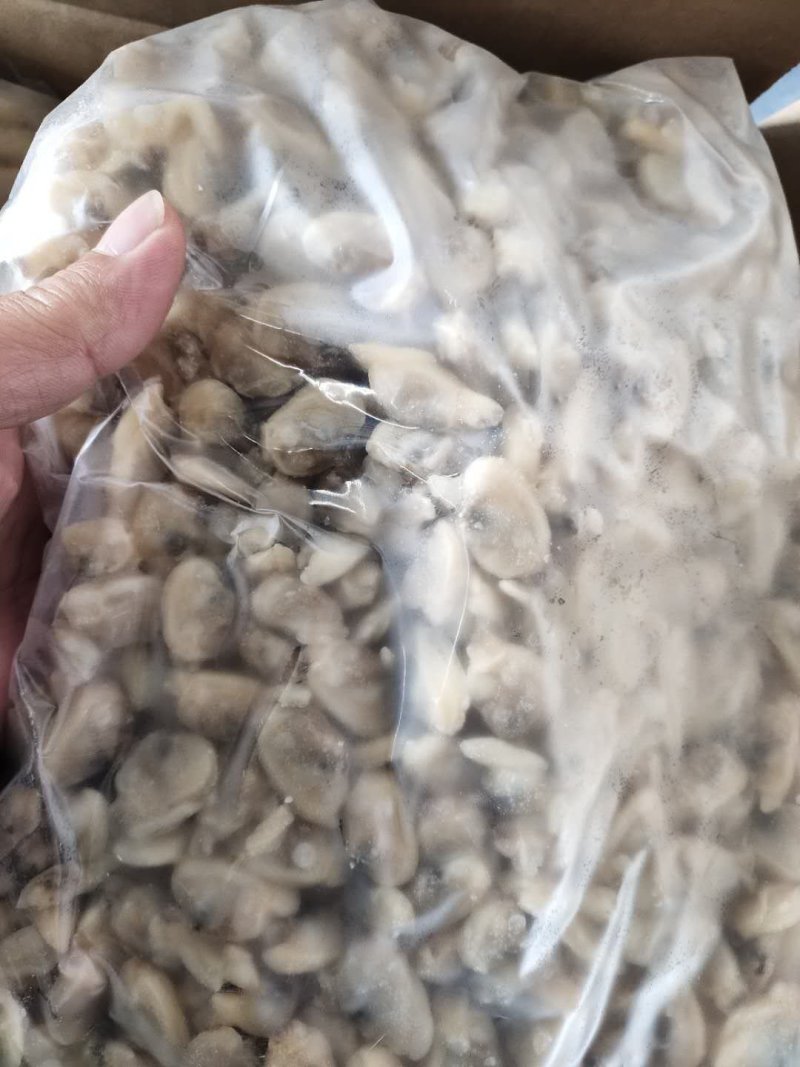 花蛤肉干冰原浆和轻保水杂色蛤肉，可分装真空袋