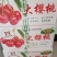 俄罗斯8号萨米托美早大樱桃苗产地直销保证质量品系