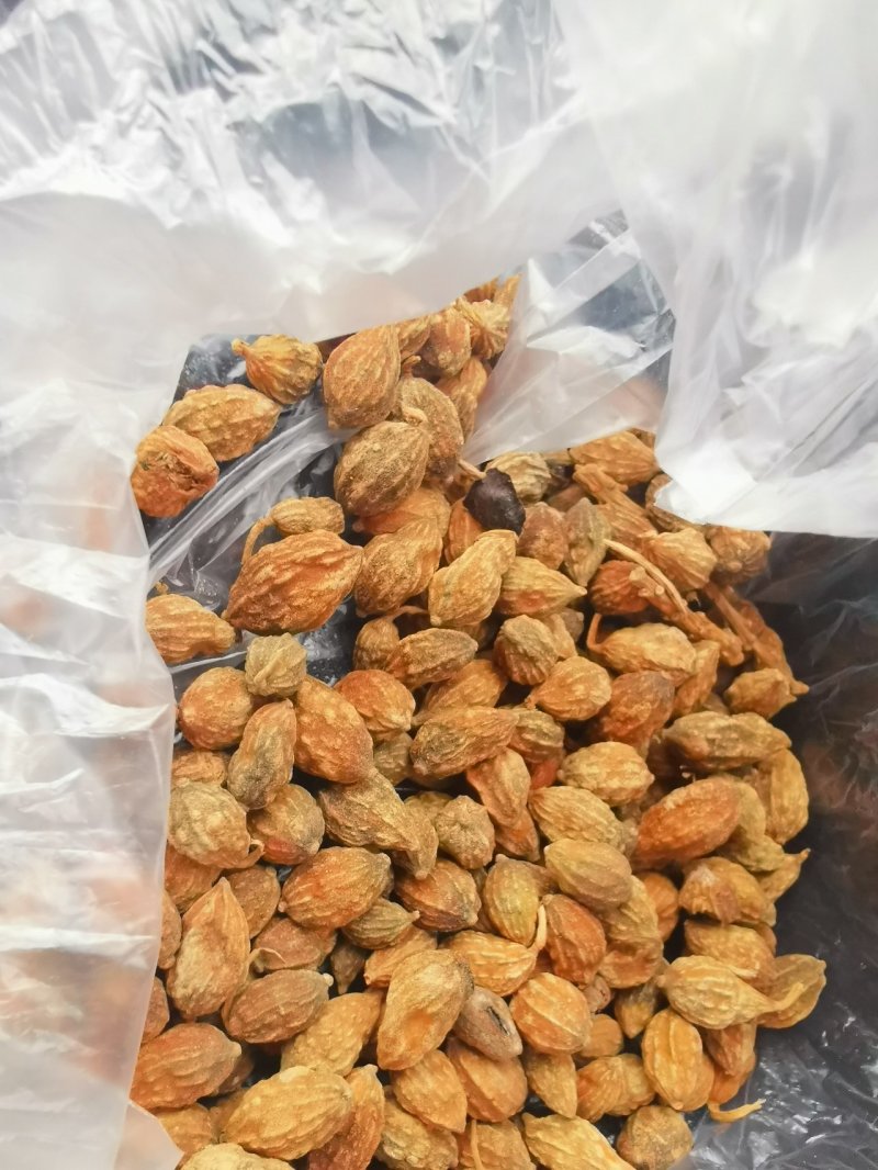 益智仁海南益智正宗益智仁