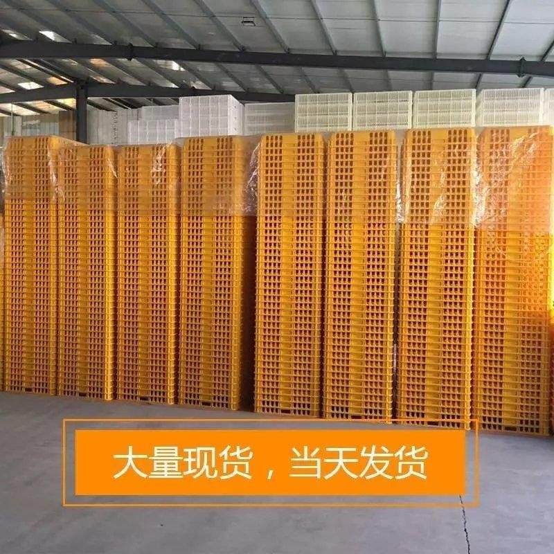 （包邮）成鸡周转箱加强型特大运输用运输筐鸡笼