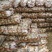 南阳精品产地直发黄心土豆荷兰沃土开始大量供中