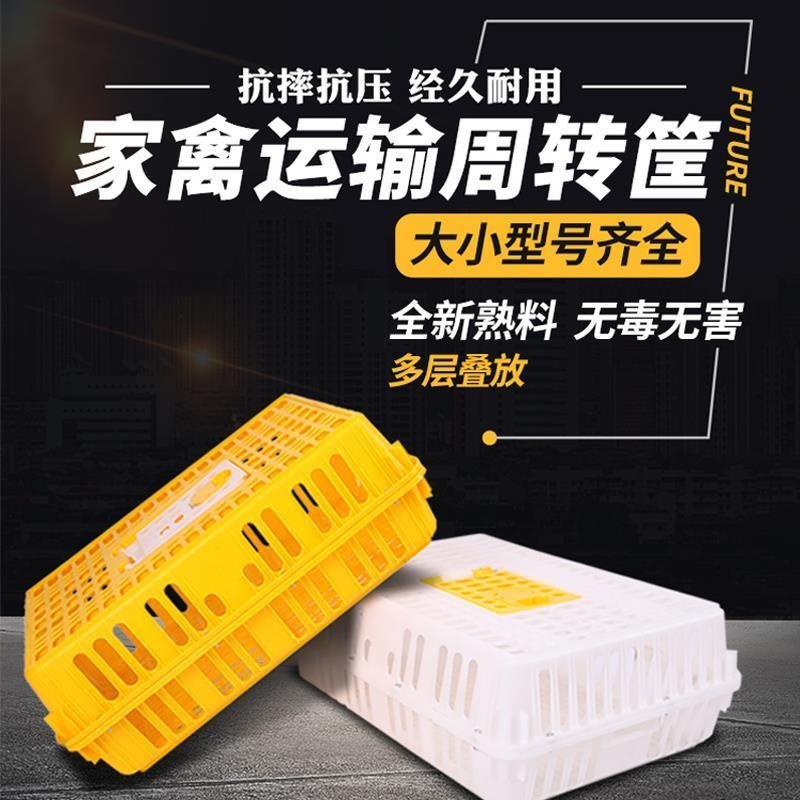 （包邮）成鸡周转箱加强型特大运输用运输筐鸡笼