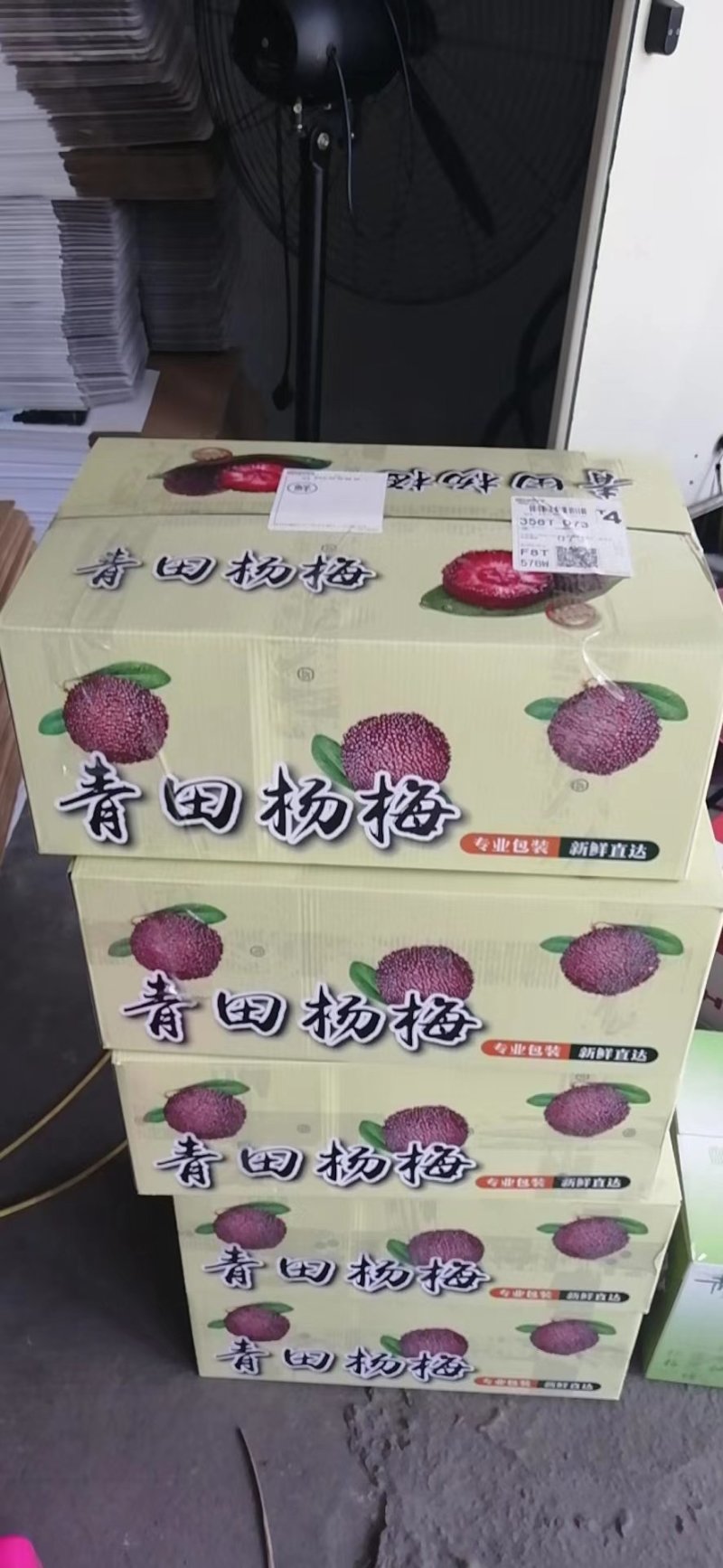 浙江青田东魁杨梅
